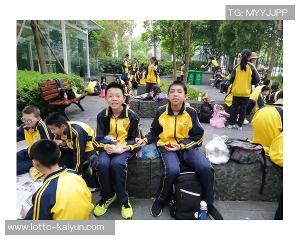 塞黑国家足球队的崛起与挑战：历史回顾与未来展望